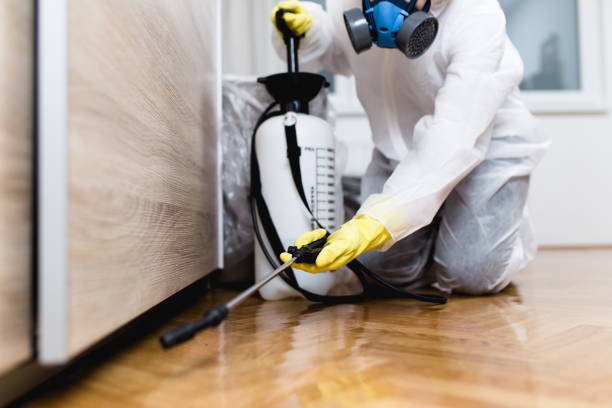 Best Flea Control Services  in Bellevue, IL