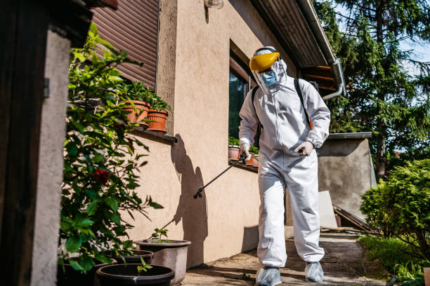 Best Pest Control for Restaurants  in Bellevue, IL