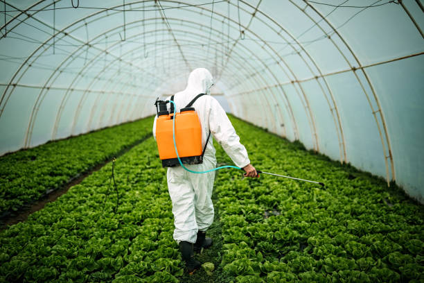 Best Pest Inspection Near Me  in Bellevue, IL