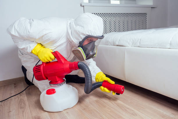 Best Cockroach Control Services  in Bellevue, IL