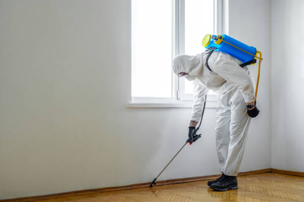 Insect Control in Bellevue, IL