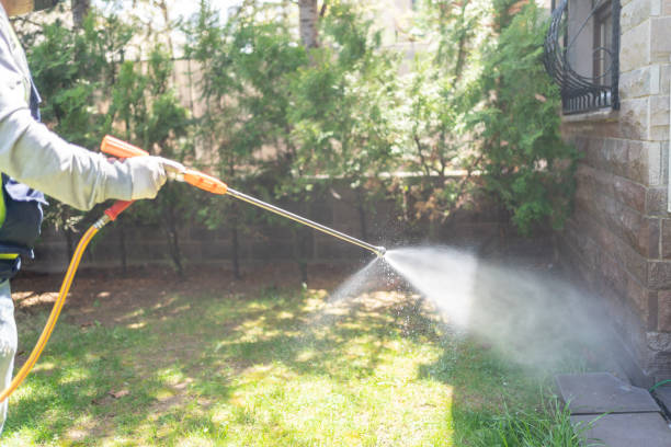 Best Best Pest Control Companies  in Bellevue, IL