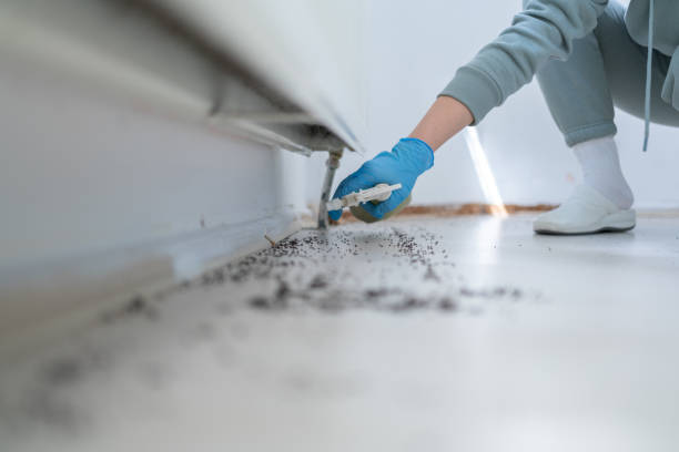 Best Pest Control Near Me  in Bellevue, IL